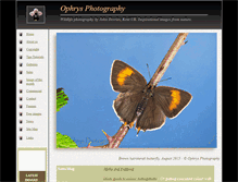 Tablet Screenshot of ophrysphotography.co.uk